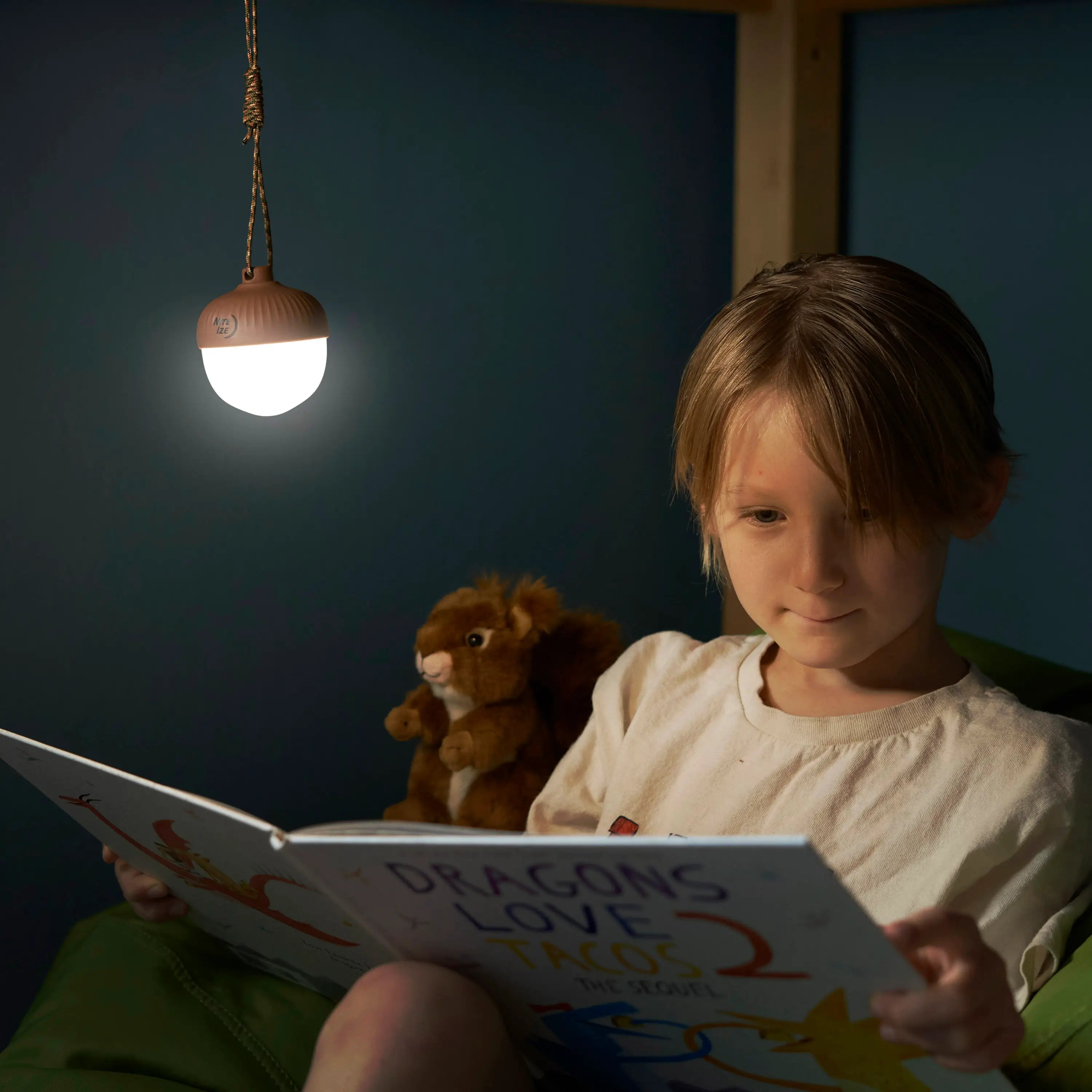 Nite Ize Radiant™ NutLit™ Rechargeable Lantern