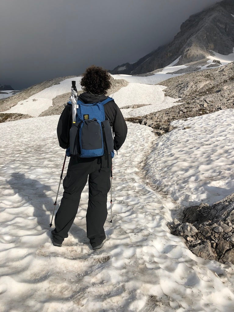 Wy'east Daypack in Coyote Brown